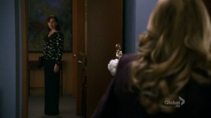 The Good Wife - 3x16 After the Fall