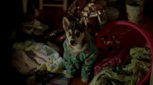 True Blood - 5x02 Authority Always Wins