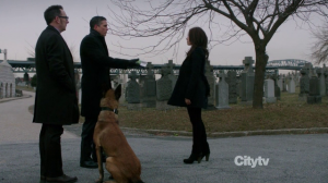Person of Interest - 2x16 Relevance