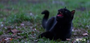 Chilling Adventures of Sabrina - Stagione 1