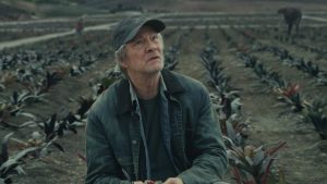 Homecoming - Stagione 2